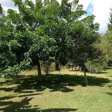 White Datça