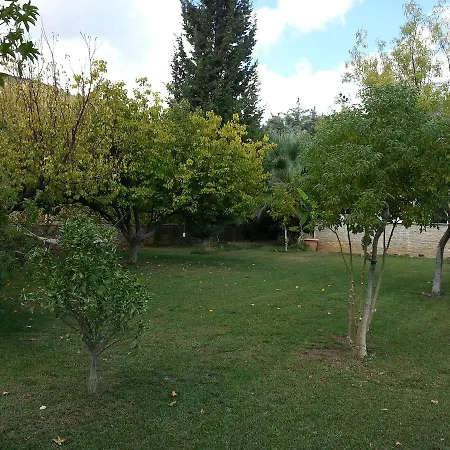 White * Datça